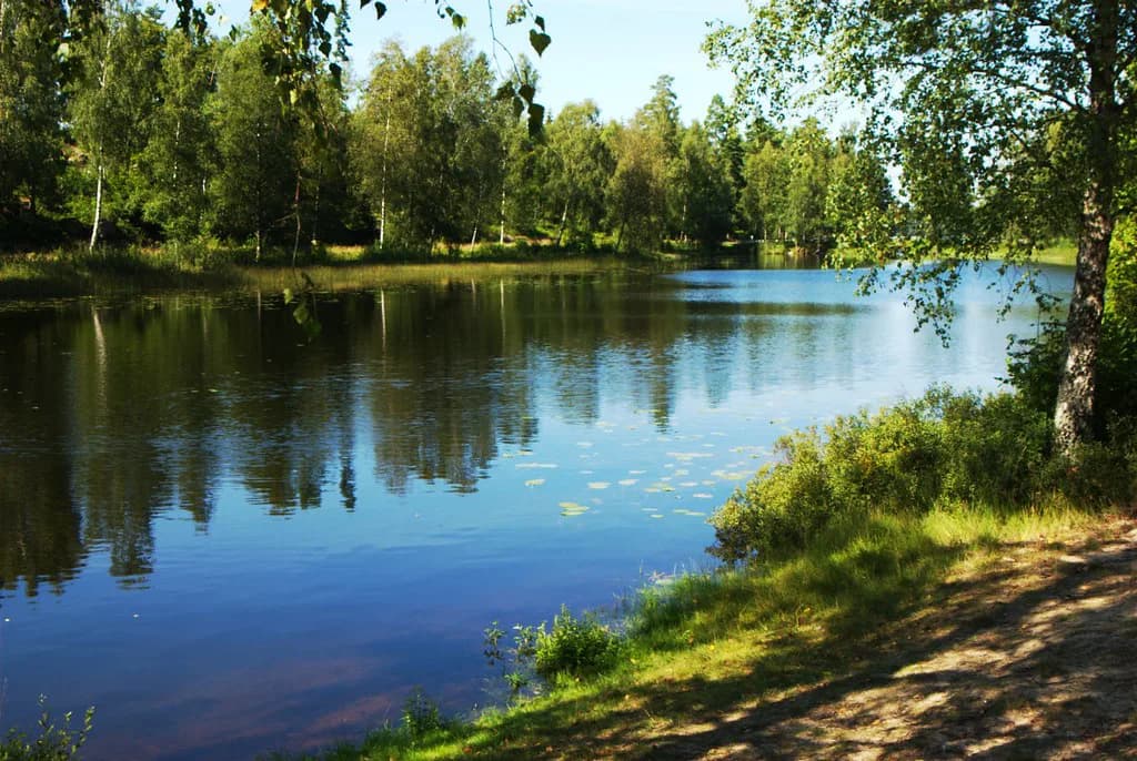 Best Cities in Sweden for a City Break: An Honest Shortlist
