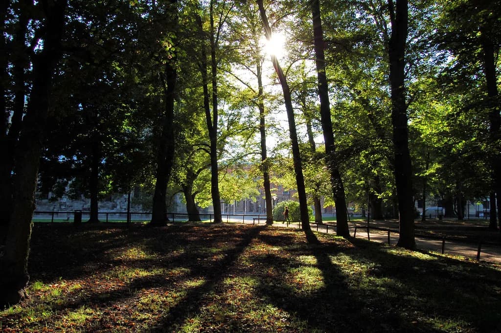 Lund History: The Periods That Shaped the City