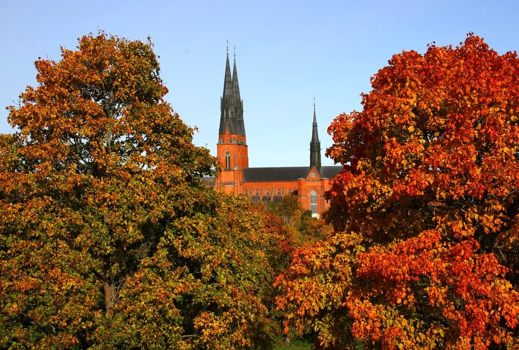 Shopping in Uppsala: Bookshops, Design and Second-Hand Finds
