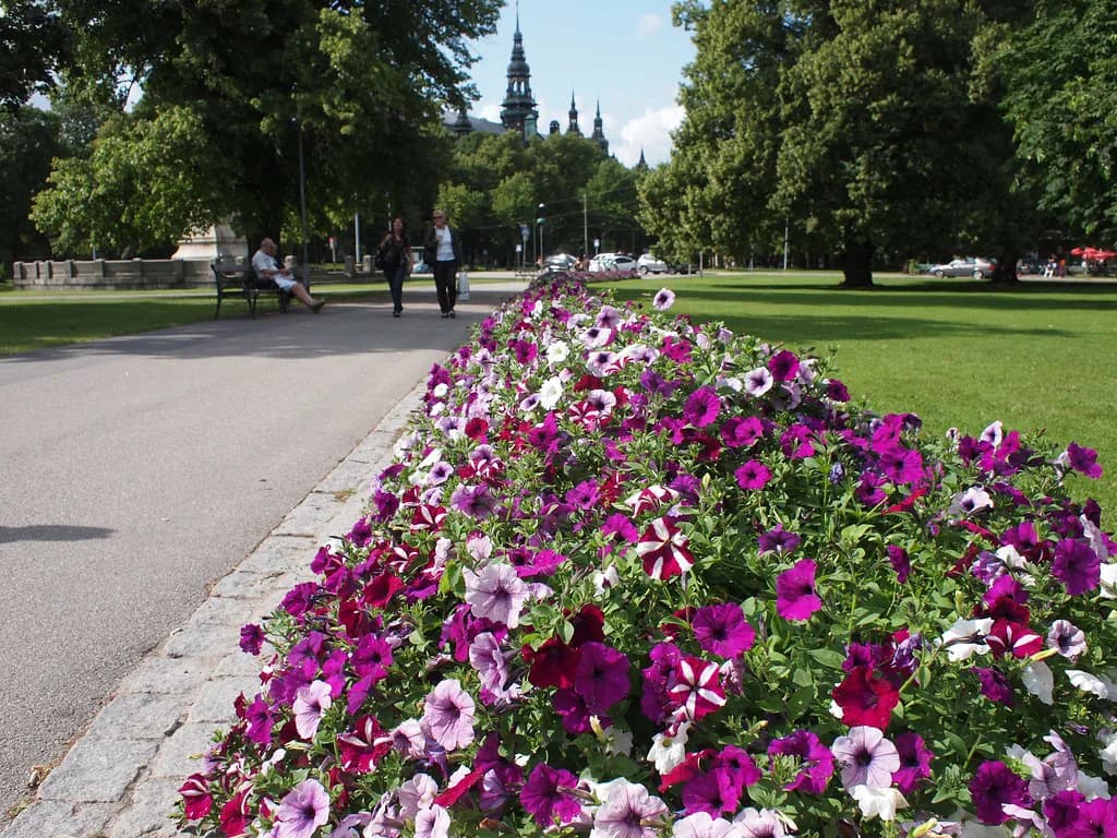 Stockholm Walking Tour: A Self-Guided Route with Stops in Order