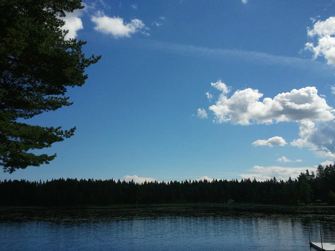 A Swedish lake in summer.