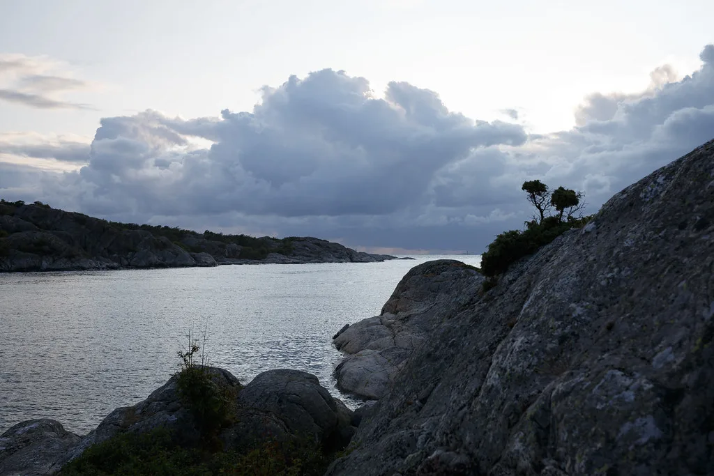 A rocky shore in the Swedish archipelago.