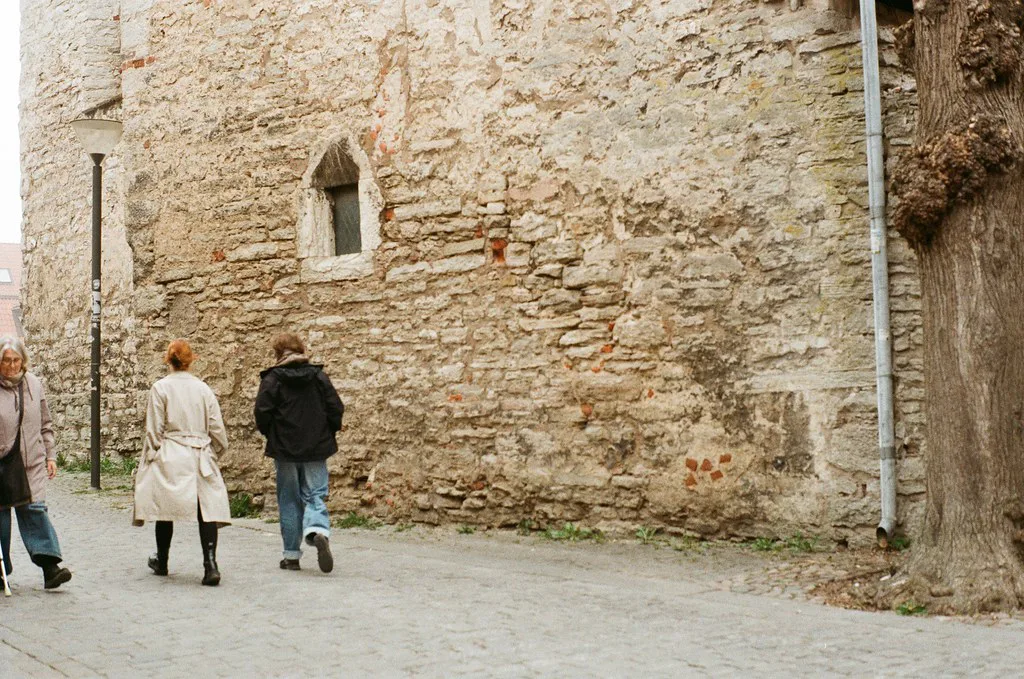 A medieval wall in Visby old town.