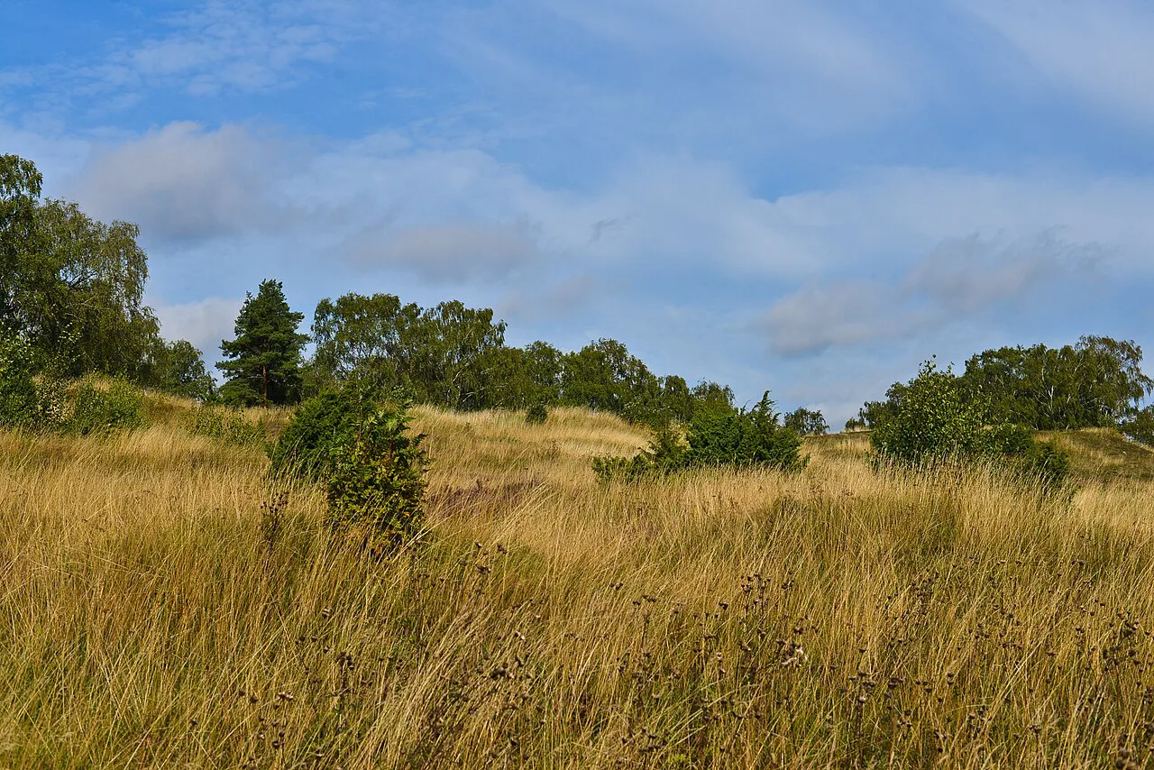 The royal mounds at Gamla Uppsala.