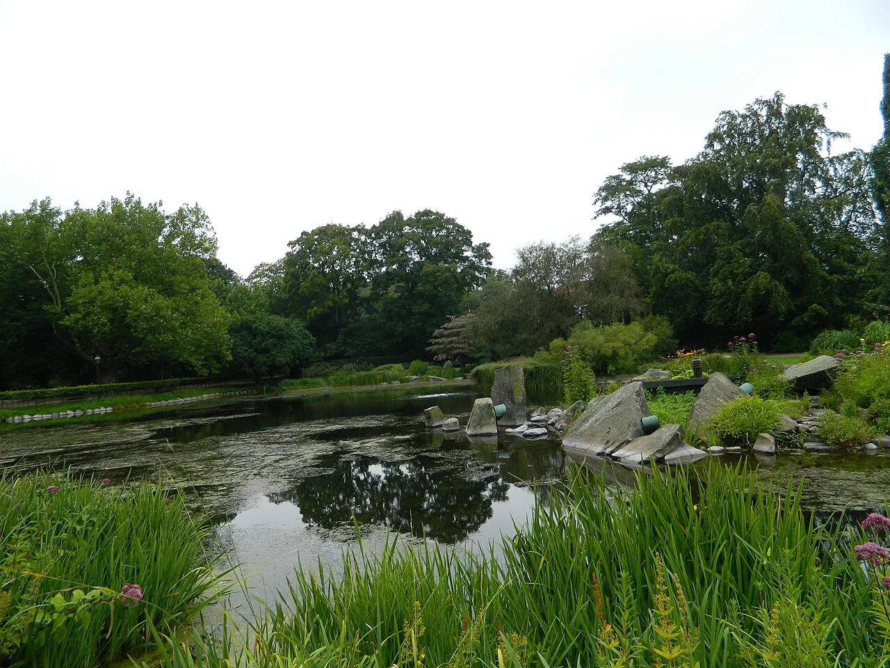 A pond in Kungsparken, Malmö.