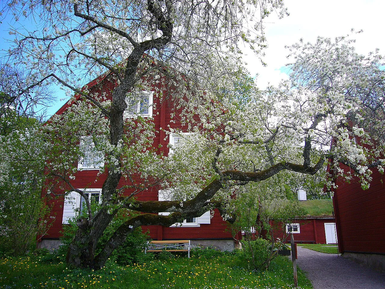 Linnaeus' Hammarby in spring.