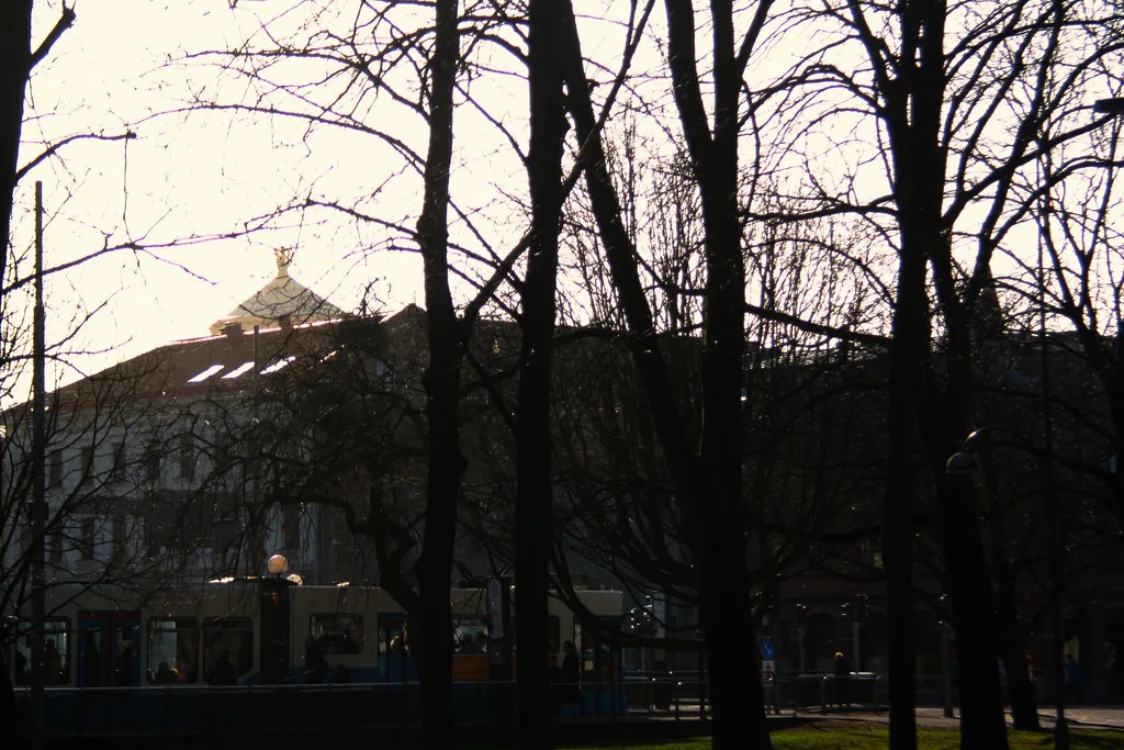 Haga, Gothenburg, through the trees.