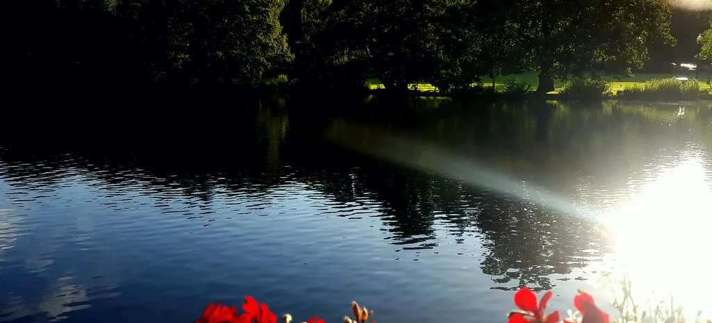 A pond in Slottsskogen, Gothenburg.