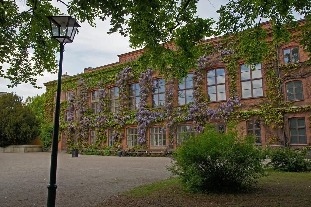 Lund University's ivy-covered library.