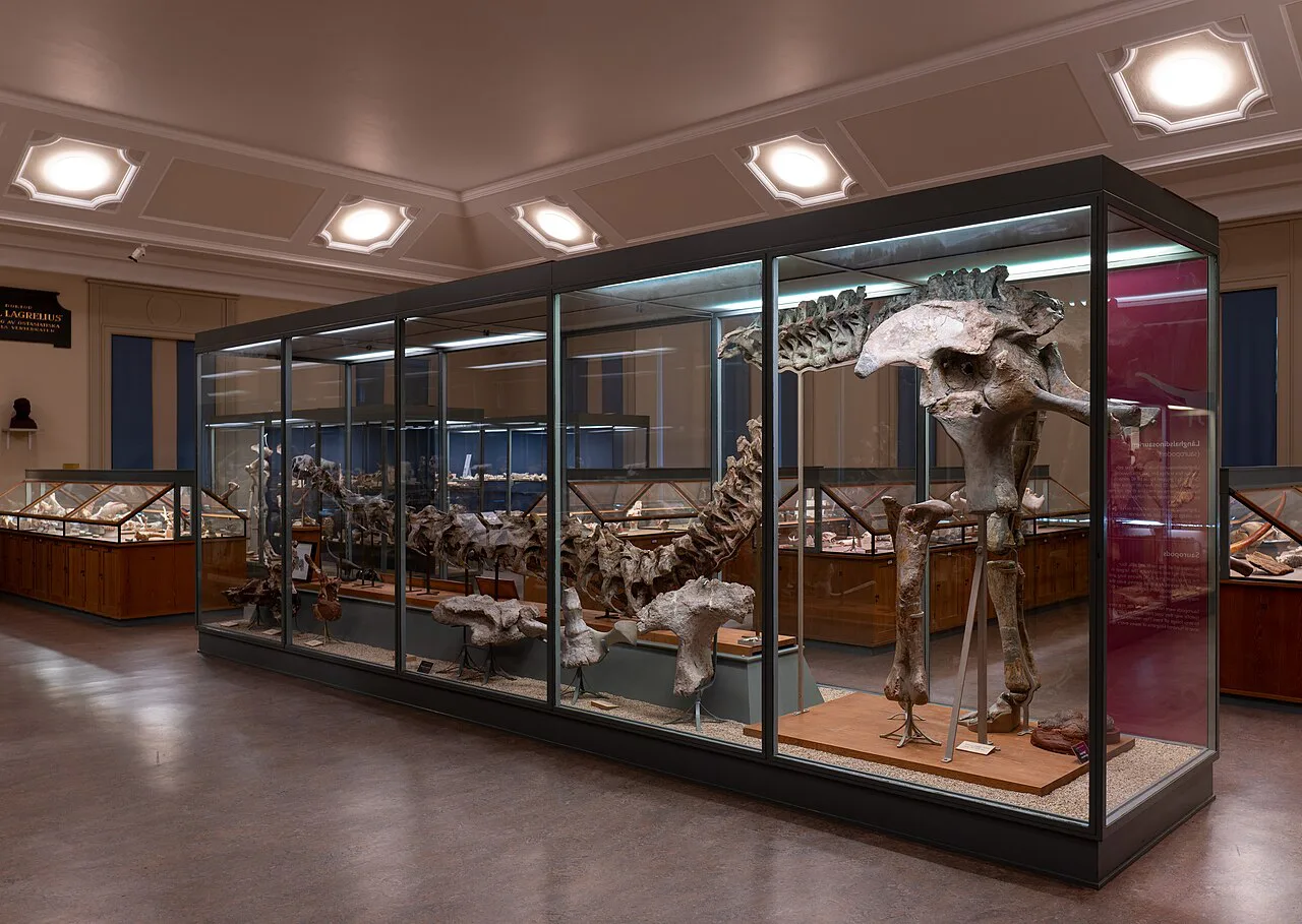 Exhibits in the Museum of Evolution, Uppsala.