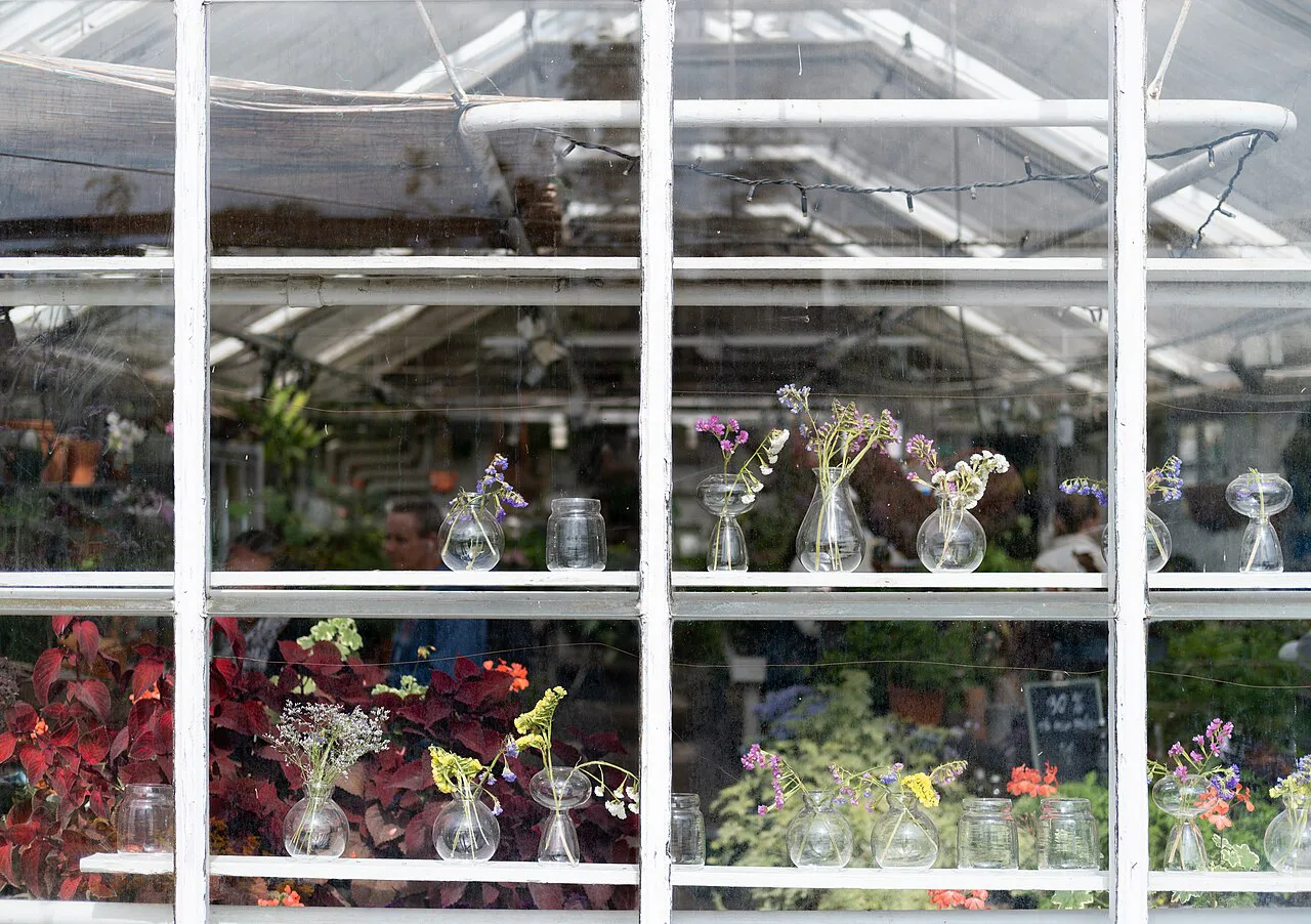 The plant nursery at Rosendals Trädgård, Stockholm.