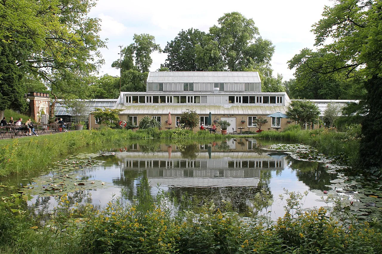 The Lund Botanical Garden pond.