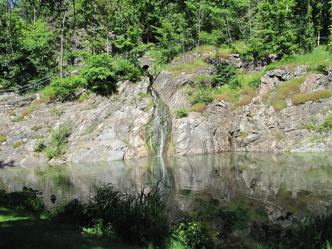 A pond in Slottsskogen, Gothenburg.