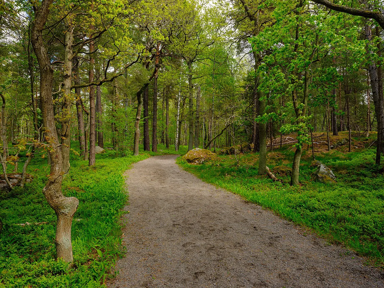 A woodland path on Södra Djurgården, Stockholm.