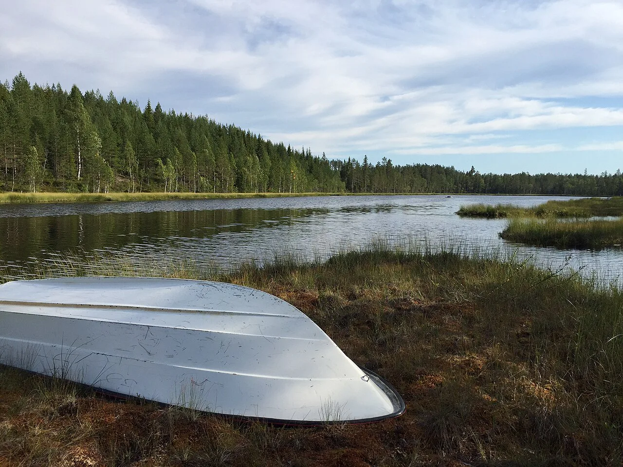 A lake in Sweden in summer.
