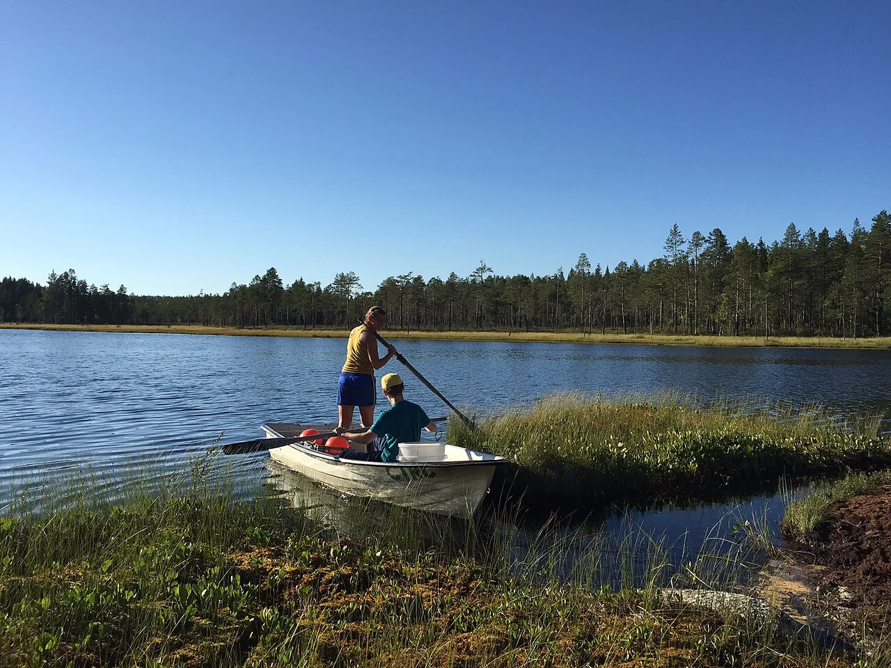 A rowing boat on a Swedish lake in summer.