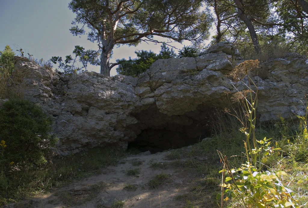 Gotland's limestone coast in May.