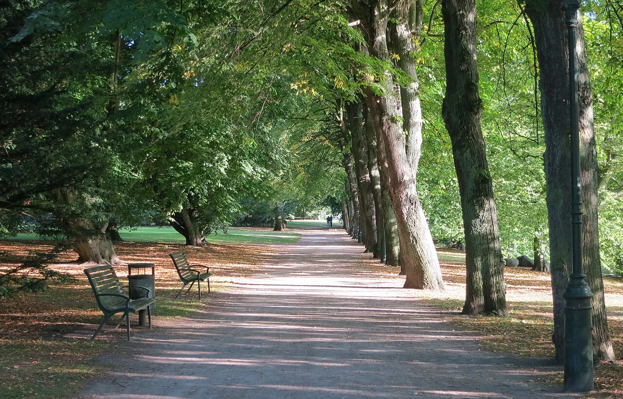 An avenue in Kungsparken, Malmö.