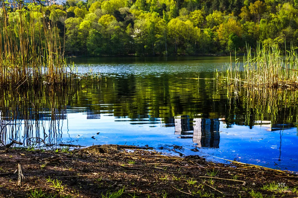 Lake reflections at Trekanten, Stockholm.